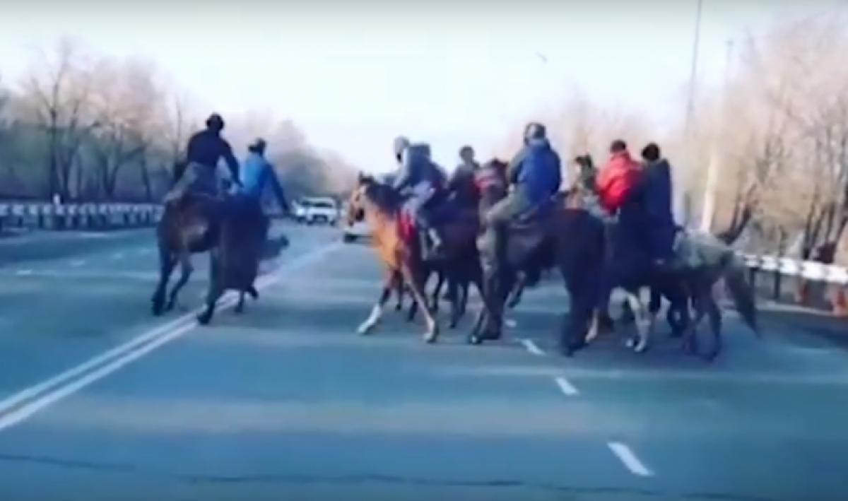 скриншот видео