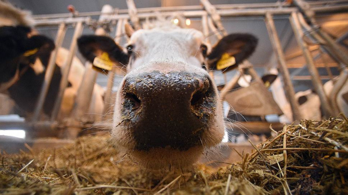 Фермер на собрании порвал грамоту от акима Актюбинской области