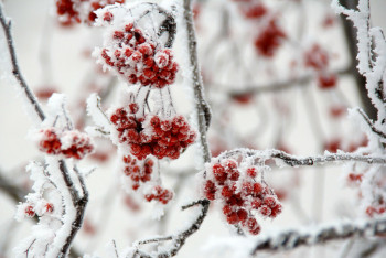 Фотография к новости: Об ухудшении погоды в четырех областях предупреждает "Казгидромет"