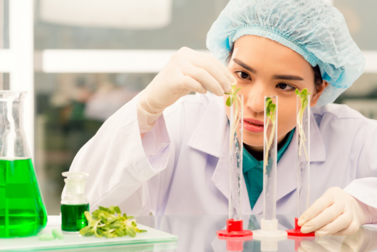 Казахстанские аграрии получат деньги за сотрудничество с учеными