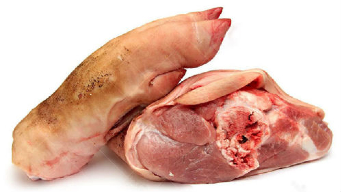 иллюстративное 