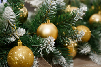 Фотография к новости: "Золотая восьмерка" фильмов и мультфильмов, которые подарят новогоднее настроение