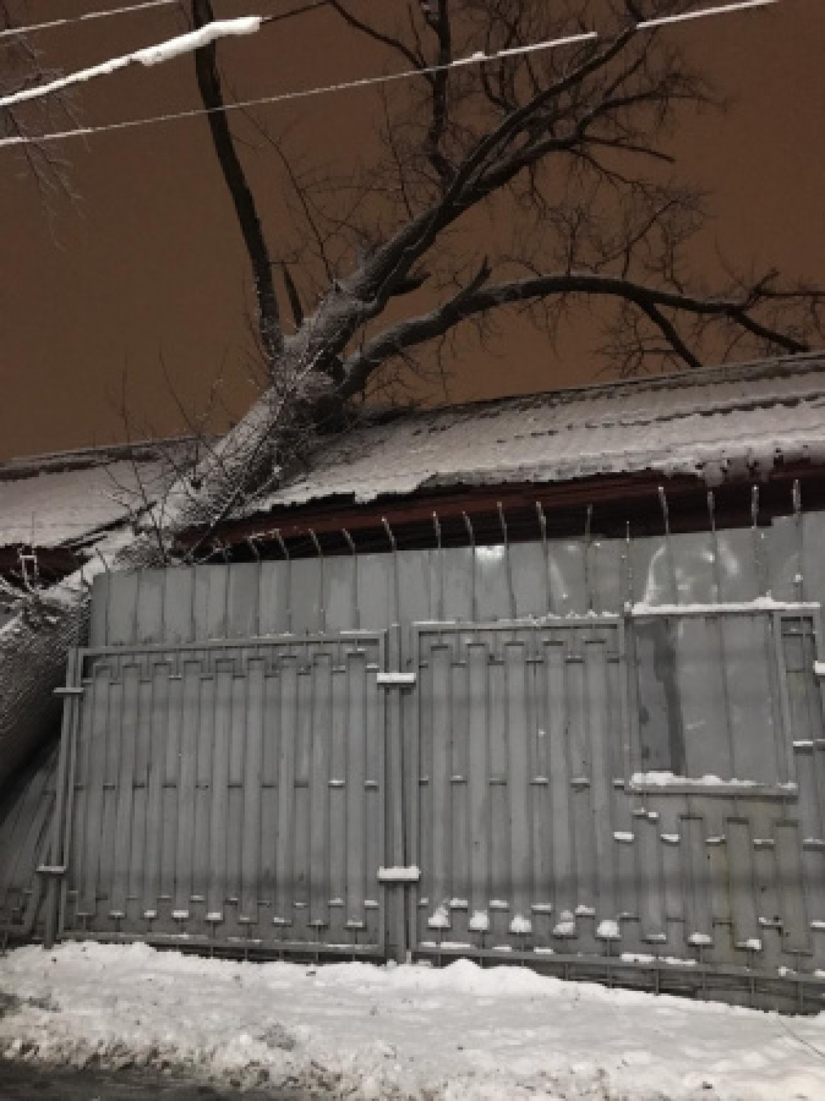 Дерево проломило здание психбольницы в Алматы