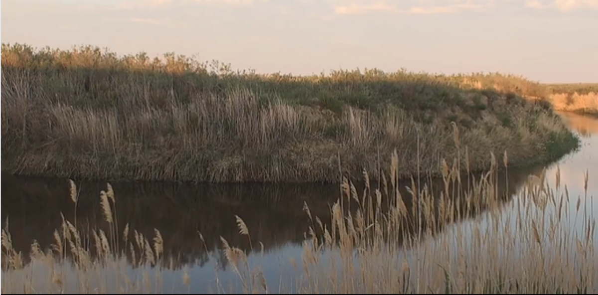 Скриншот из видео / Facebook/ Сакен Дилдахмет