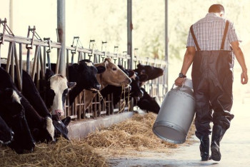 Фотография к новости: На неработающие госпрограммы и кабальные кредиты жалуются фермеры ЗКО