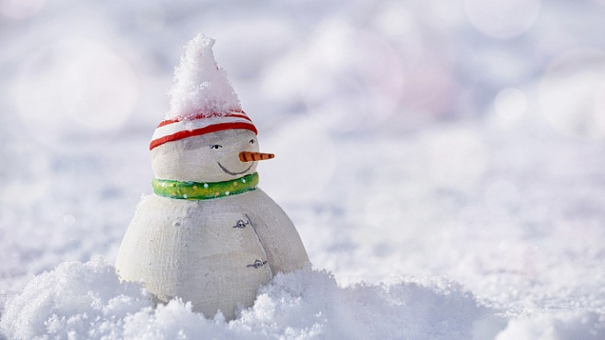 иллюстративное