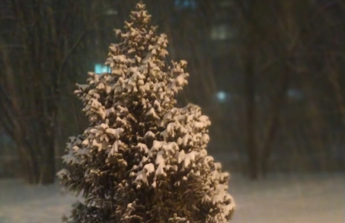 Сильный снегопад обрушился на Алматы