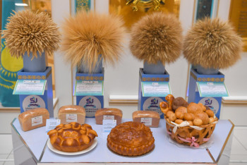 Фотография к новости: Токаеву показали выведенные с помощью генной инженерии новые сорта пшеницы