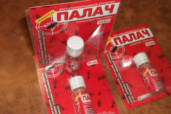 Фотография к новости: После гибели матери и сына яд от насекомых "Палач" запретили в Алматы