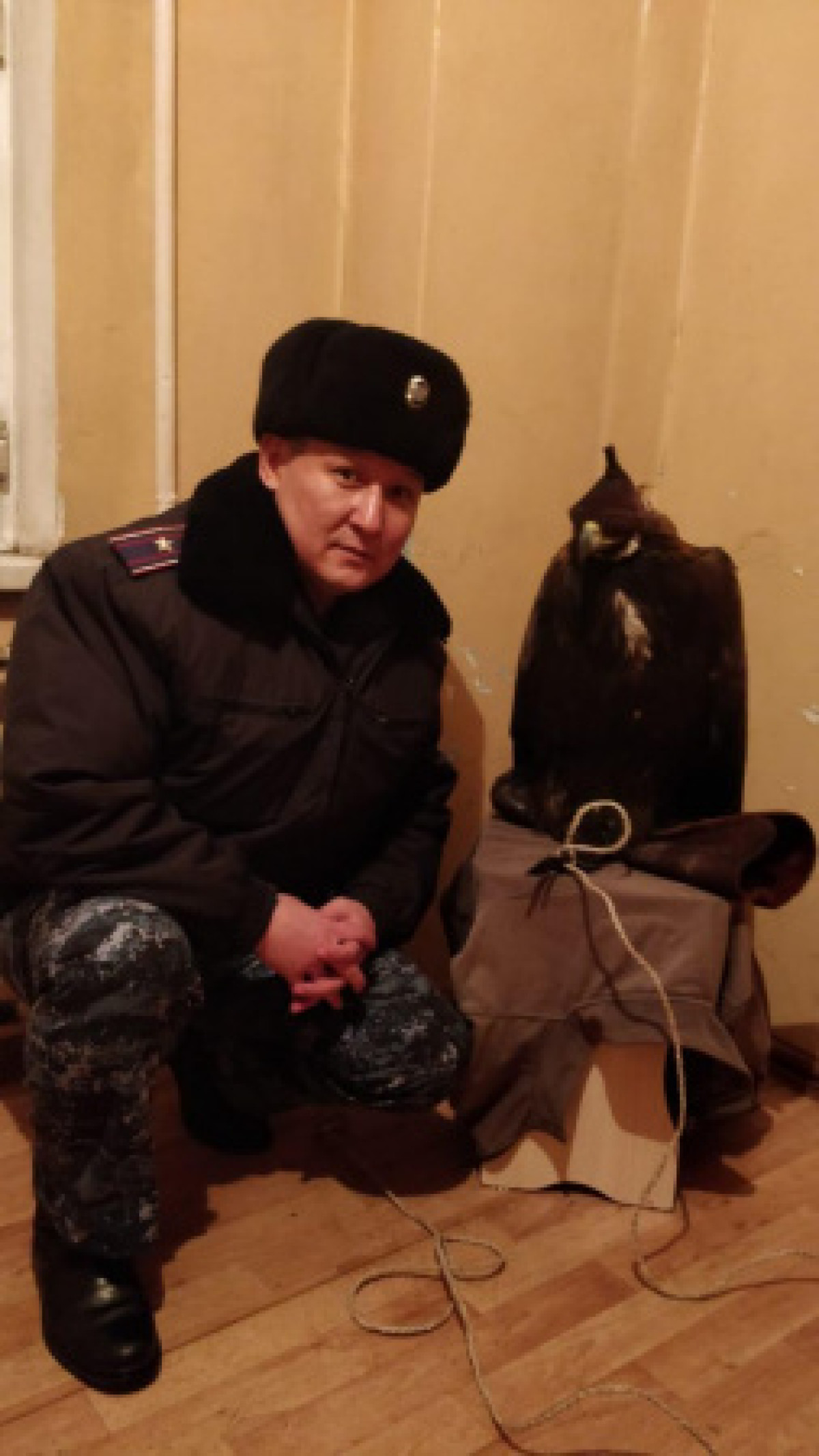 Полиция нашла хозяина беспризорного беркута в Усть-Каменогорске