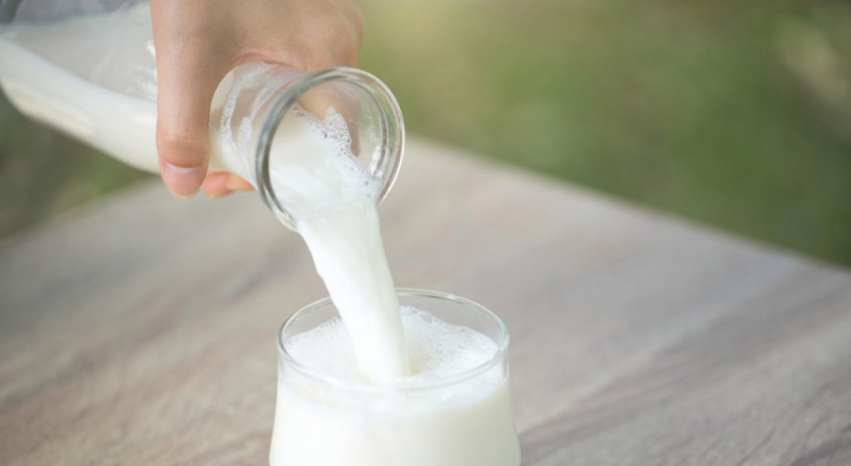 иллюстративное 