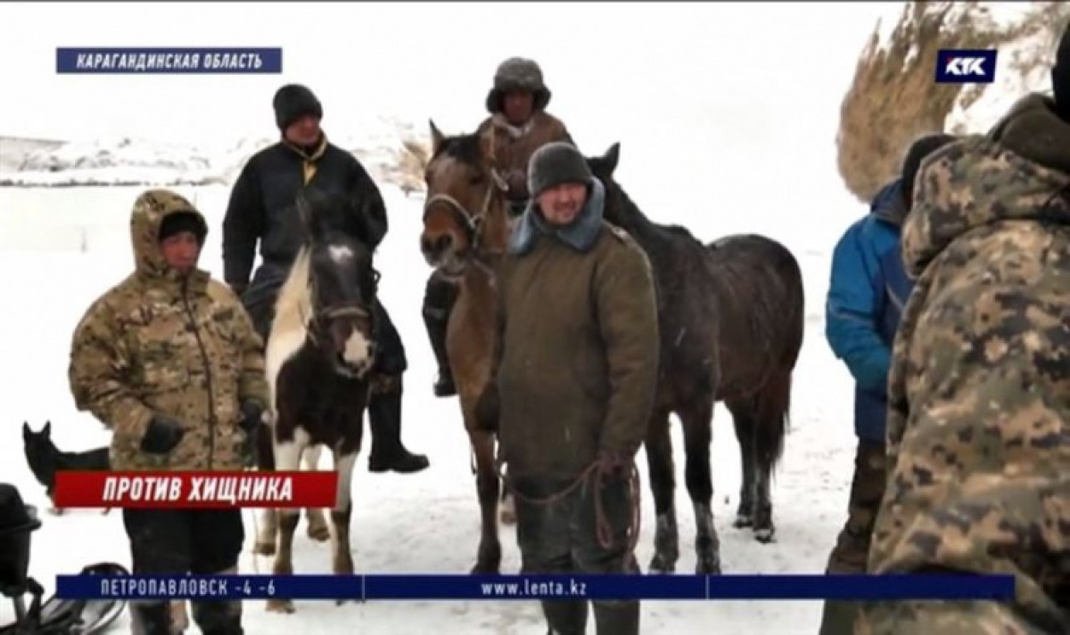 кадр из видео