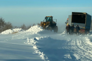 Фотография к новости: Затор в Павлодарской области: водители отказались от эвакуации