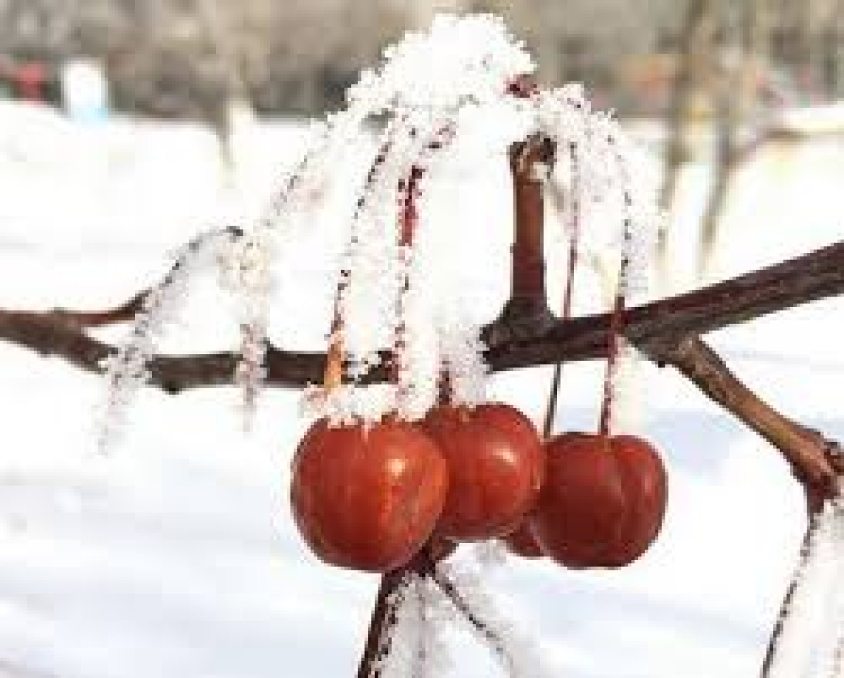 Усиление ветра и гололед ожидаются в Казахстане