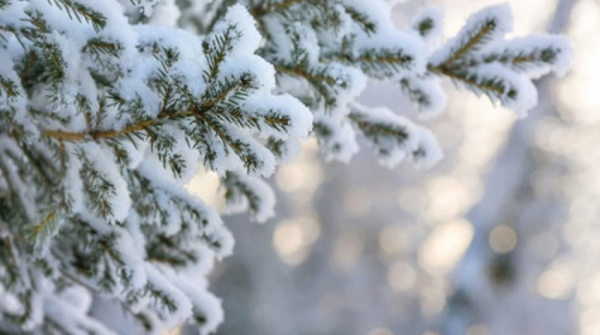 иллюстративное