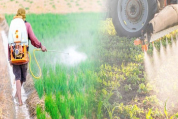 Фотография к новости: Минсельхоз досрочно прекратил госрегистрацию китайского пестицида