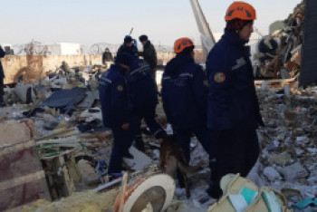 Фотография к новости: В МВД рассказали о ходе расследования авиакатастрофы под Алматы