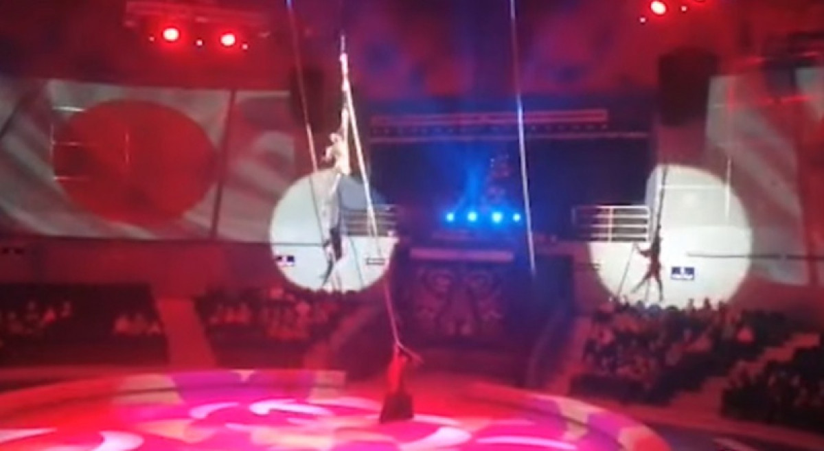 Акробатка упала с высоты в цирке Владивостока