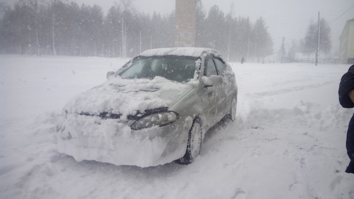 иллюстративное