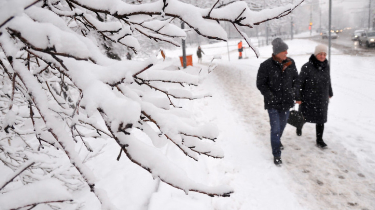 иллюстративное