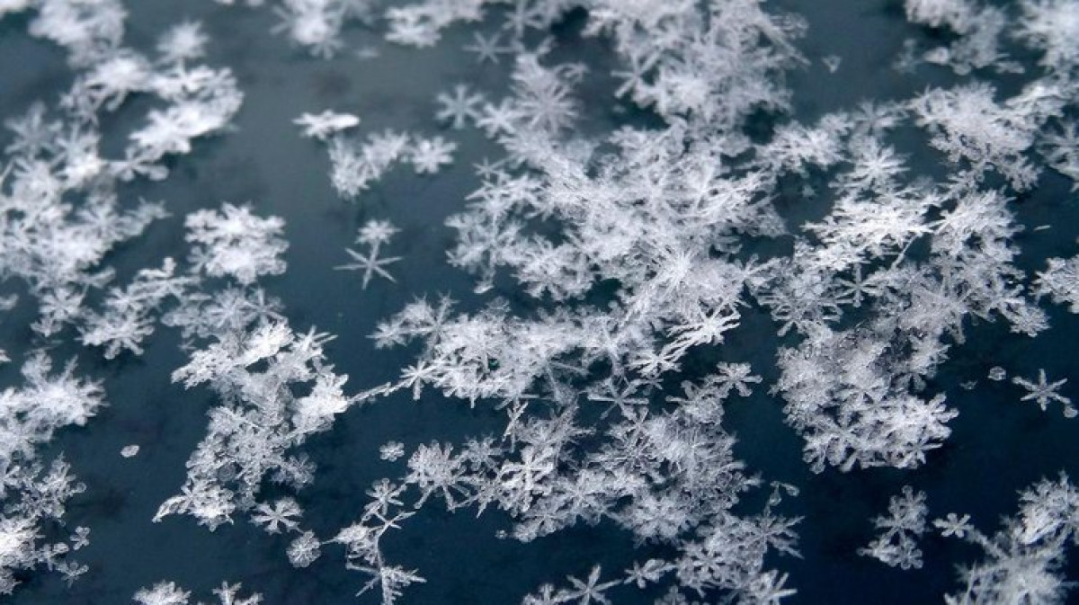 иллюстративное