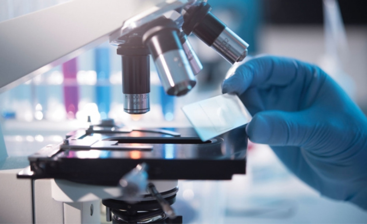 Причиной вспышки пневмонии в КНР стал новый вид коронавируса