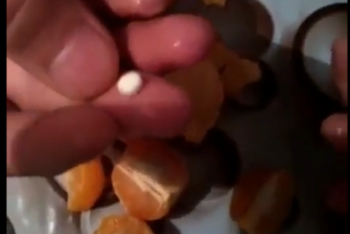 Фотография к новости: Таблетки в мандаринах: полицией СКО ведется расследование