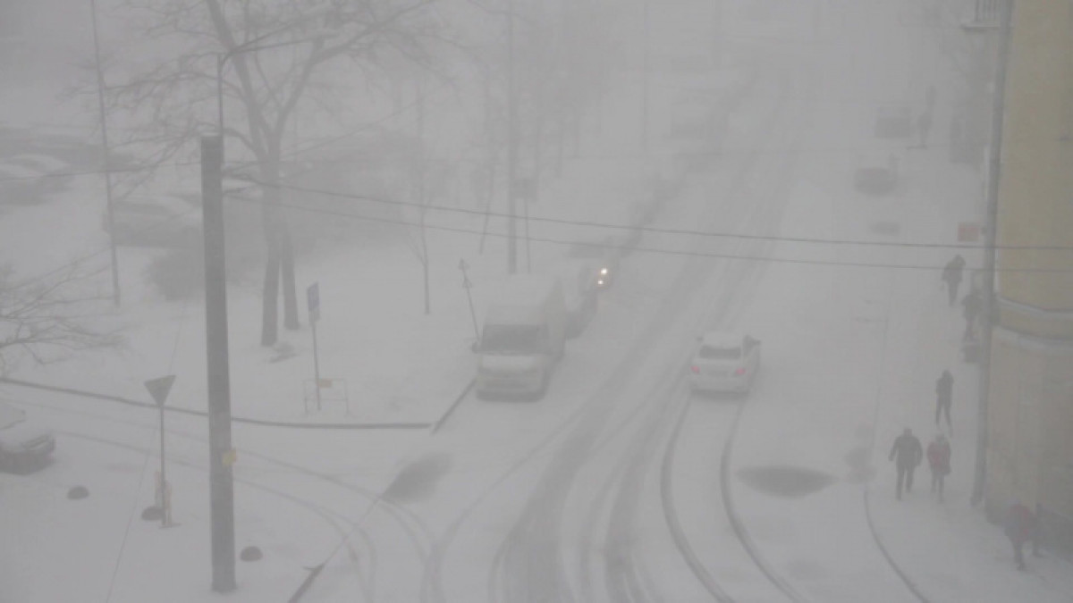 иллюстративное