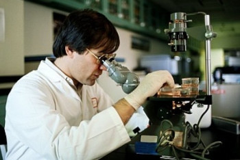 Фотография к новости: Разработано возможное средство от старения