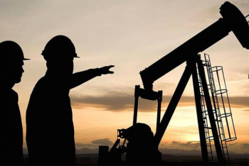 Фотография к новости: Иностранных рабочих будут меньше привлекать в Казахстан в 2020 году