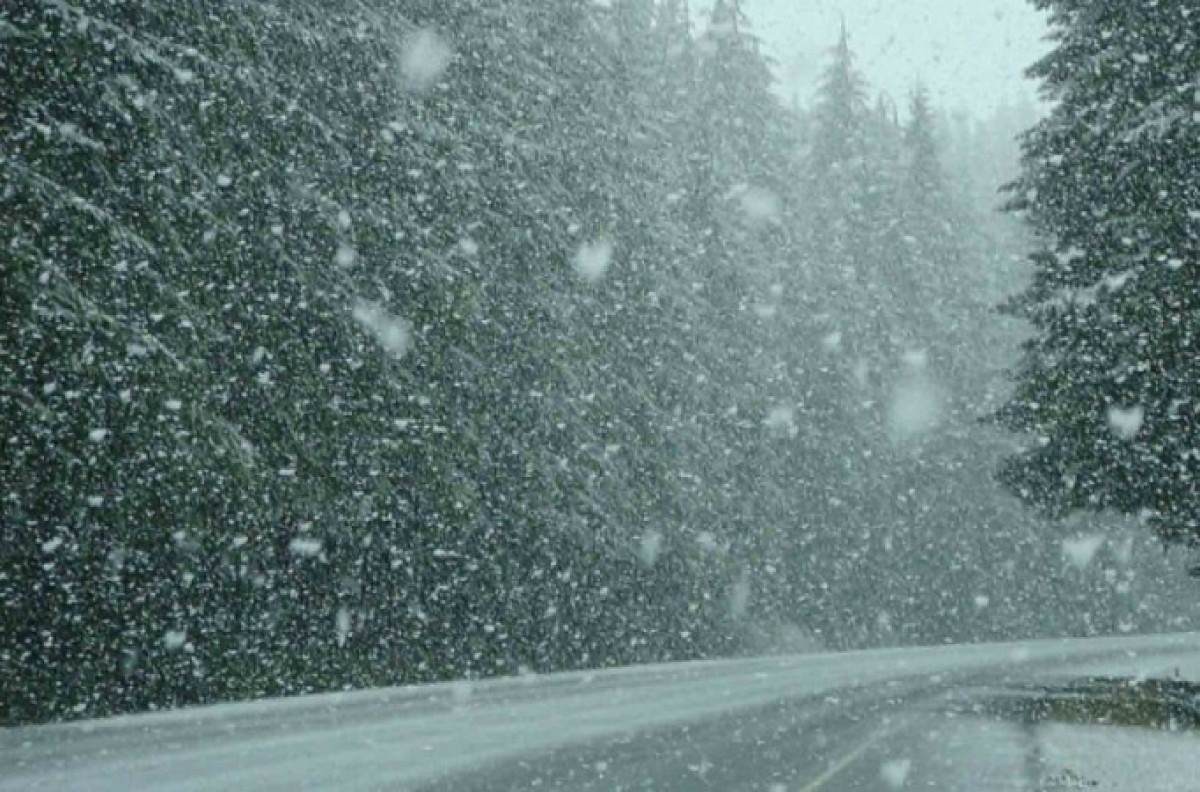 Иллюстративное - 24.kz