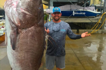 Фотография к новости: Гигантскую рыбу-монстра поймали в Америке
