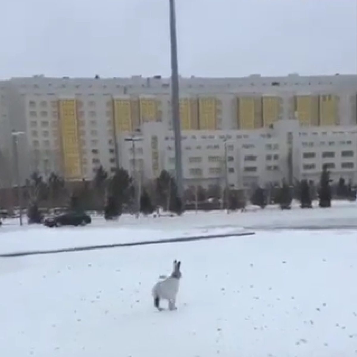 скрин из видео / Instagram/ astanovka98