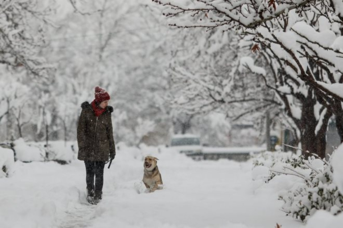 Снегопад ожидается в большинстве областей Казахстана