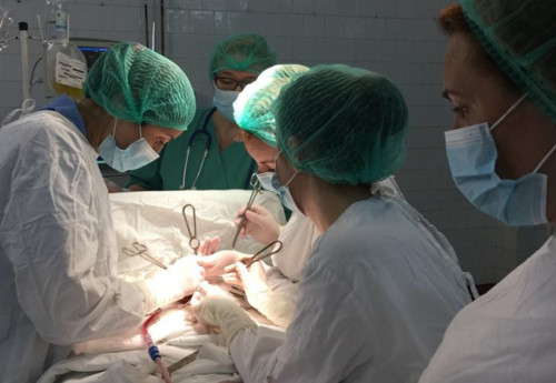 Фотография к новости: Врачи провели уникальную операцию новорожденному в Алматы