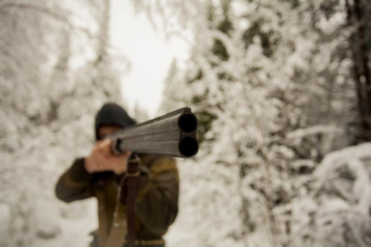 иллюстративное