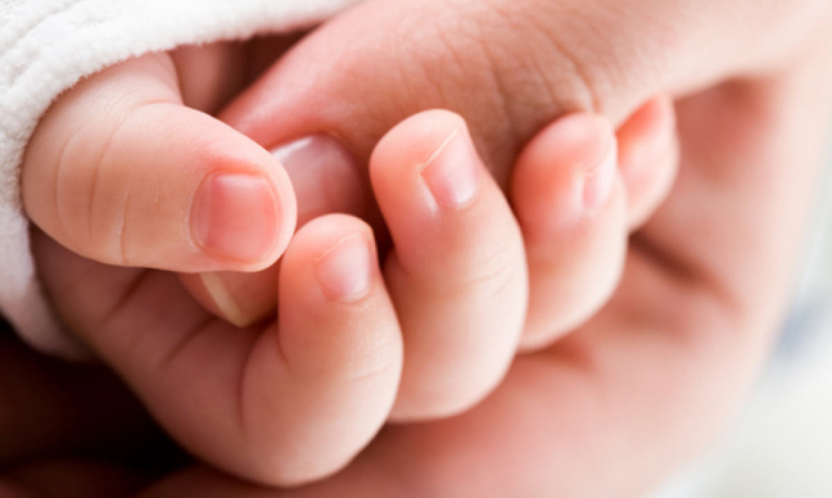 иллюстративное