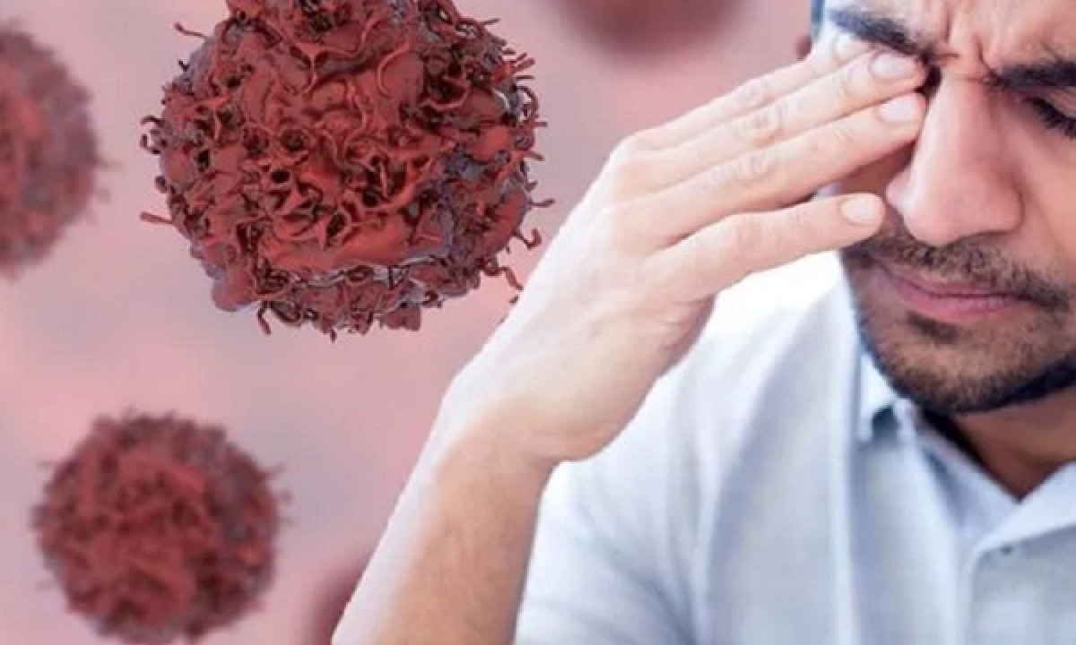 иллюстративное