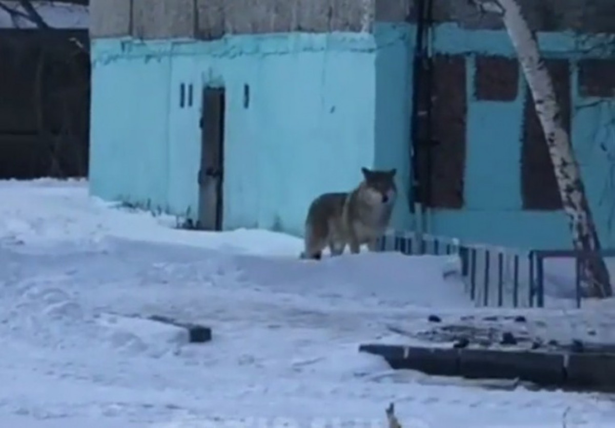 instagram / @tipavlo