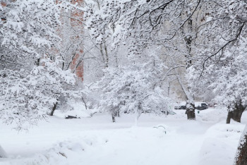 Фотография к новости: Снег, гололед и усиление ветра ожидаются в Казахстане