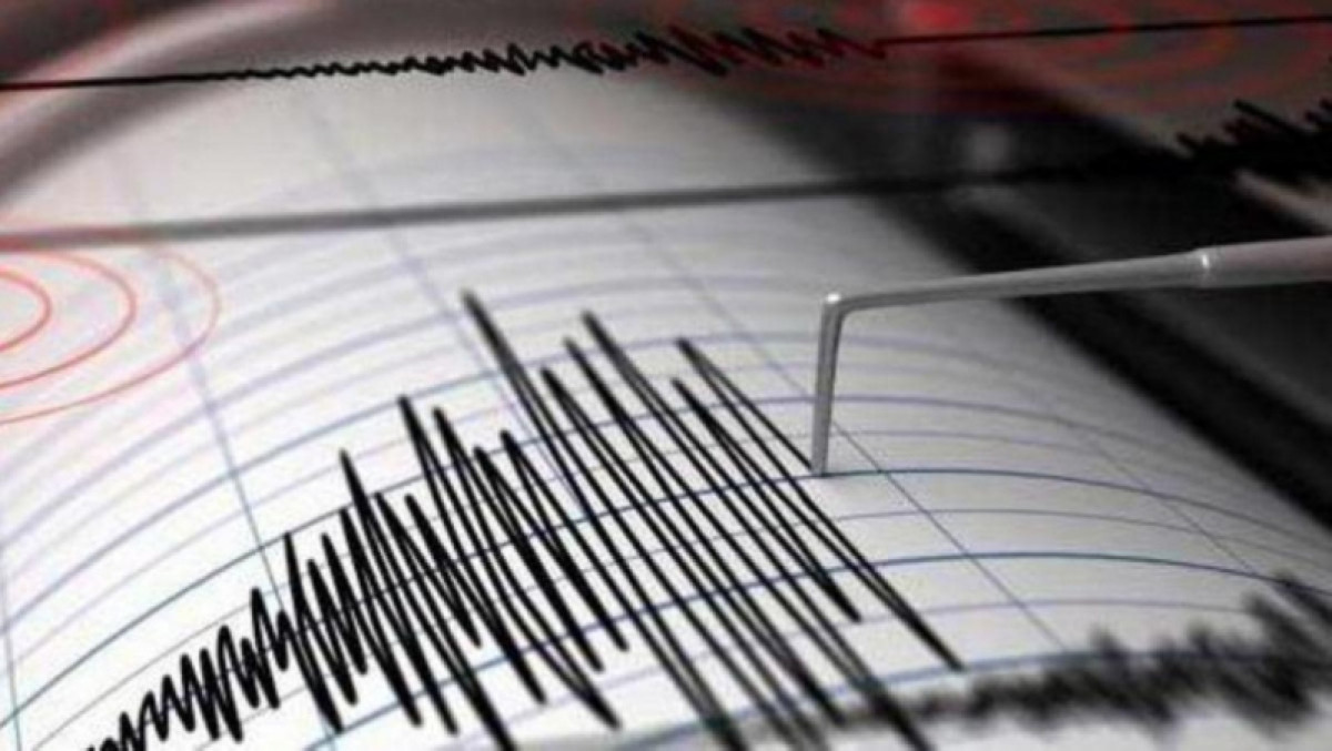 Землетрясение произошло в 600 км от  Алматы