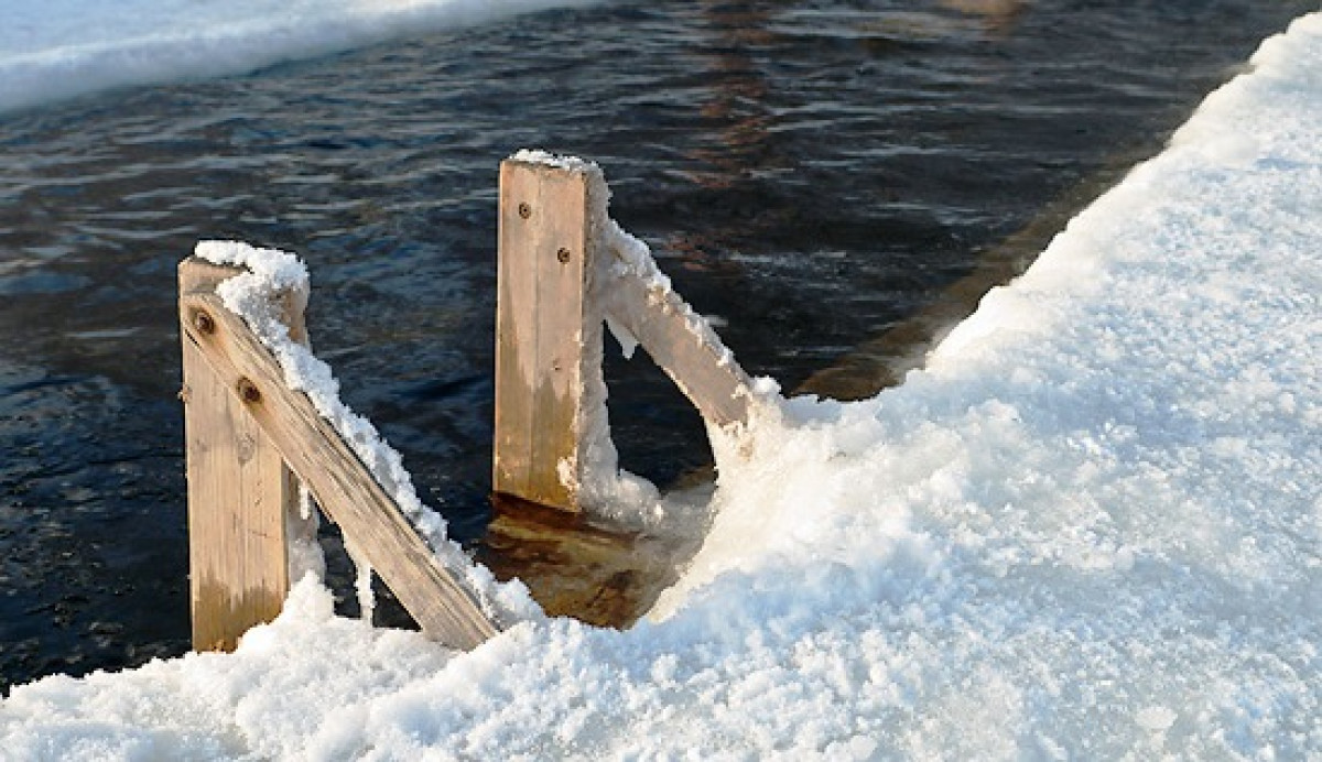 иллюстративное