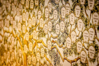 Фотография к новости: Дела семейные 2. Чем владеют казахстанские магнаты и их семьи