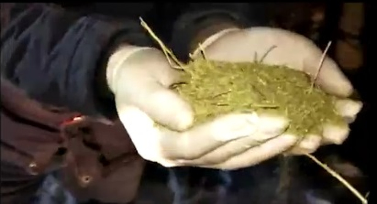 Жителя Жамбылской области задержали с несколькими мешками марихуаны