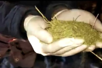 Фотография к новости: Жителя Жамбылской области задержали с несколькими мешками марихуаны