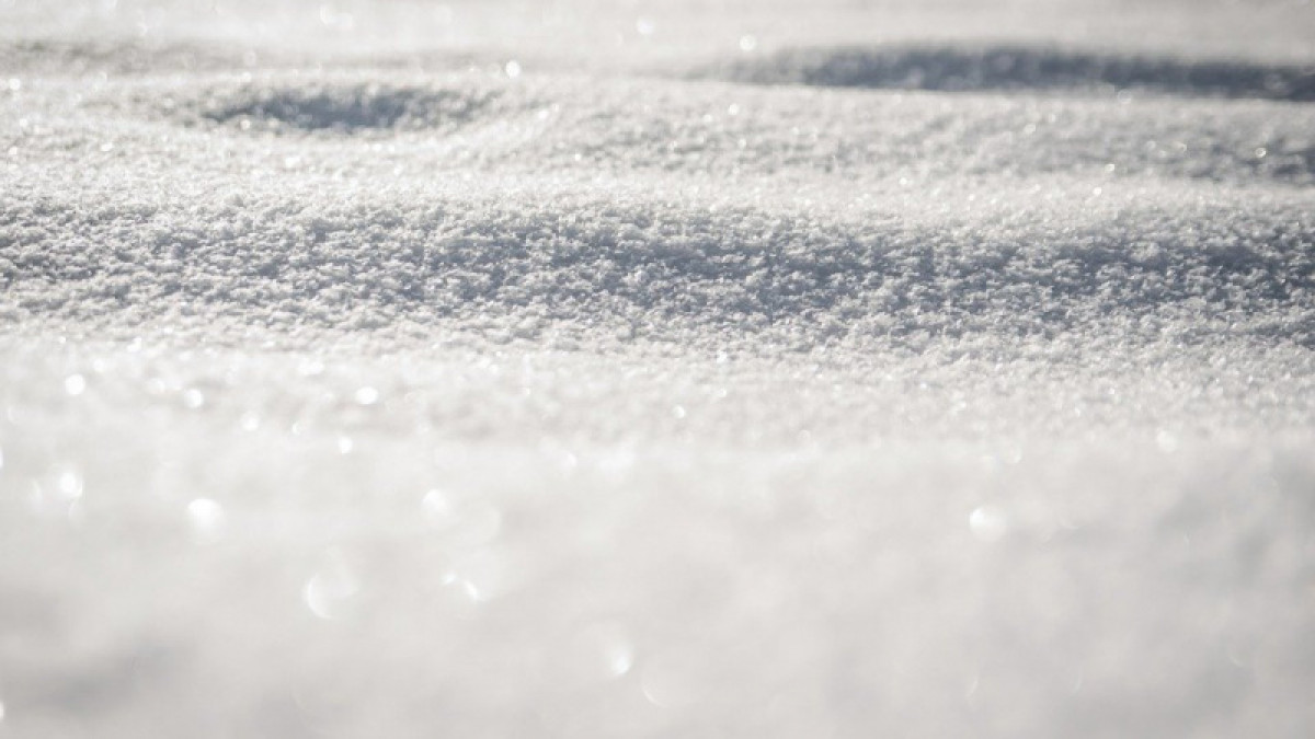 Иллюстративное, pixabay