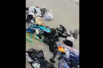 Фотография к новости: Купальники, тапочки и полотенца засорили набережную Нур-Султана после крещенских купаний