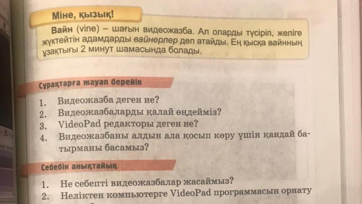 Что такое вайн: в казахстанском учебнике за четвертый класс есть ответ