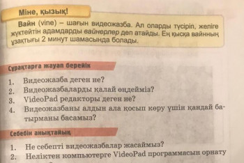 Что такое вайн: в казахстанском учебнике за четвертый класс есть ответ