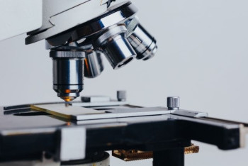 Фотография к новости: Китай опубликовал снимок нового коронавируса с электронного микроскопа